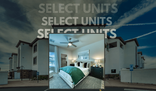 Renter Requirements | The Riley